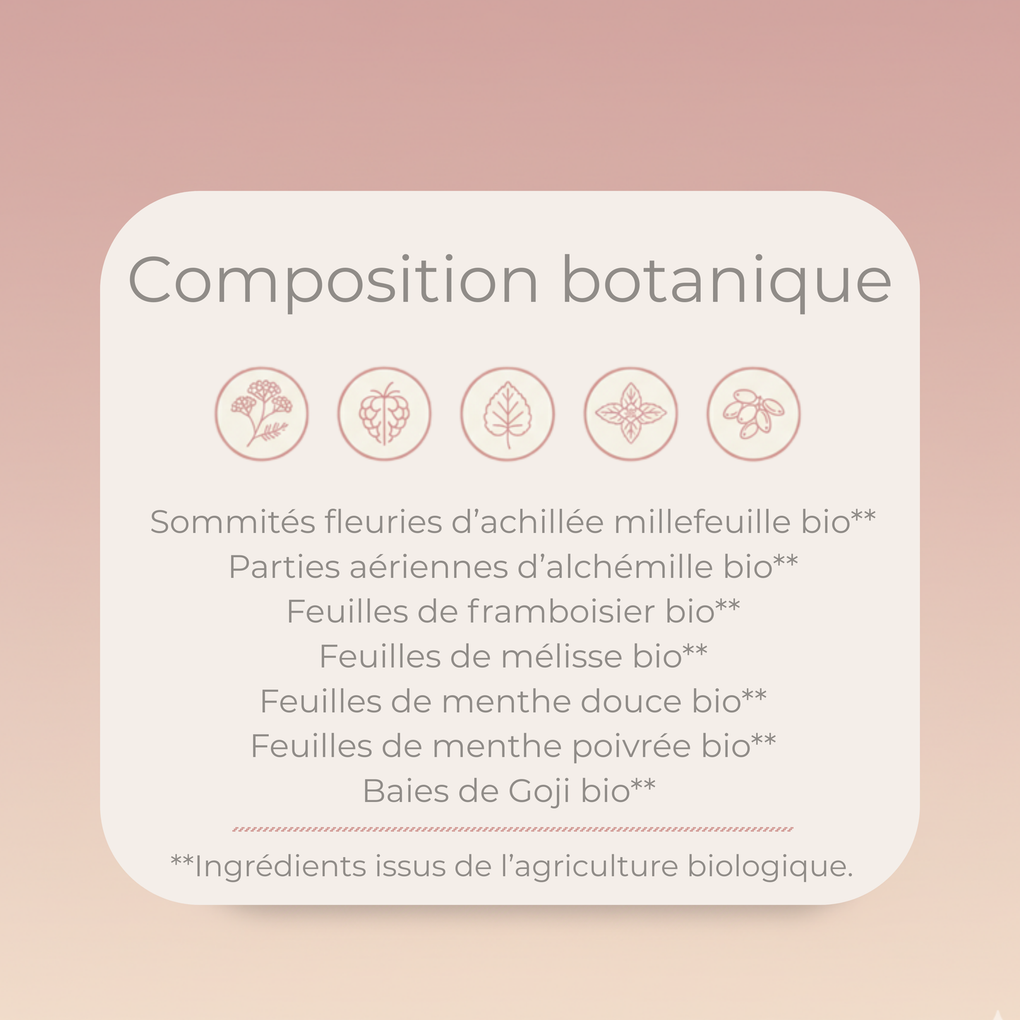 Tisane BIO - Règles Douloureuses & Endométriose